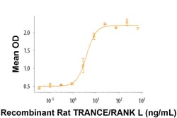 R D Systems Recombinant Rat TRANCE/RANK L/TNFSF11 Protein Lyophilized from a 0.2 &mu;m filtered solution in NaH 2 PO 4 NaCl and EDTA. | Buy Online | R&amp;D Systems&trade; | Fisher Scientific