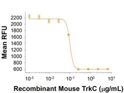 R&D Systems&trade;&nbsp;Recombinant Mouse TrkC Fc Chimera Protein