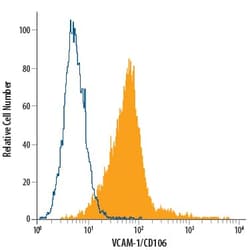 Human VCAM-1/CD106 Alexa Fluor 488-conjugated Antibody, R D Systems 100