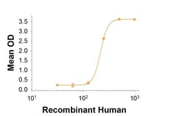 R&D Systems&trade;&nbsp;Recombinant Human VISTA/B7-H5/PD-1H His Avi-tag Protein