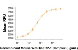 R&D Systems&trade;&nbsp;Recombinant Mouse Wnt-1/sFRP-1 Complex Protein