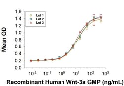 R&D Systems&trade;&nbsp;Recombinant Human Wnt-3a GMP Protein, CF