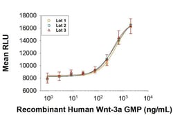 R D Systems Recombinant Human Wnt-3a GMP Protein, CF 50 &mu;g | Buy Online | R&amp;D Systems&trade; | Fisher Scientific