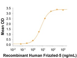 R&D Systems™ Recombinant Human/Mouse Wnt-5a Biotinylated Protein
