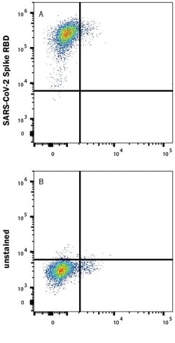 R&D Systems&trade;&nbsp;Recombinant SARS-CoV-2 Spike RBD Alexa Fluor&trade; 488 Protein