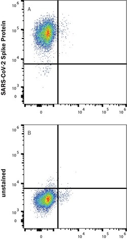 R&D Systems&trade;&nbsp;Recombinant SARS-CoV-2 S GCN4-IZ Alexa Fluor&trade; 488 Protein