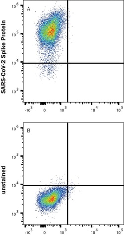R D Systems Recombinant SARS-CoV-2 P.1 Spike Alexa Fluor 488 Protein 20 &mu;g | Buy Online | R&amp;D Systems&trade; | Fisher Scientific