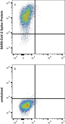 R D Systems Recombinant SARS-CoV-2 S GCN4-IZ Alexa Fluor 488 Protein 20 &mu;g | Buy Online | R&amp;D Systems&trade; | Fisher Scientific