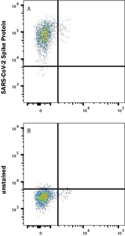 R&D Systems&trade;&nbsp;Recombinant SARS-CoV-2 B.1.617.1 S Alexa Fluor&trade; 488 Protein