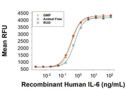 R D Systems Recombinant Human IL-6, Animal-Free Protein 20 &mu;g | Buy Online | R&amp;D Systems&trade; | Fisher Scientific