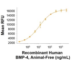 R D Systems Recombinant Human BMP-4 Animal-Free Protein 50 &mu;g | Buy Online | R&amp;D Systems&trade; | Fisher Scientific