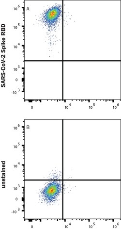 R&D Systems&trade;&nbsp;Recombinant SARS-CoV-2 Spike RBD Alexa Fluor&trade; 647 Protein