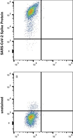 R D Systems Recombinant SARS-CoV-2 P.1 Spike Alexa Fluor 647 Protein 20 &mu;g | Buy Online | R&amp;D Systems&trade; | Fisher Scientific