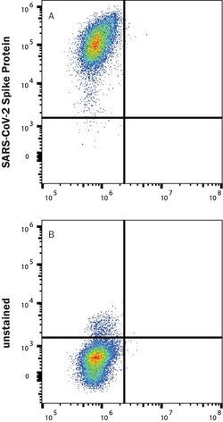 R&D Systems&trade;&nbsp;Recombinant SARS-CoV-2 S GCN4-IZ Alexa Fluor&trade; 647 Protein