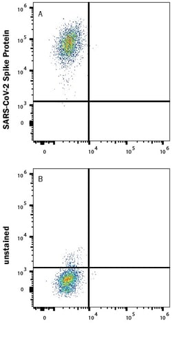 R D Systems Recombinant SARS-CoV-2 B.1.617.1 S Alexa Fluor 647 Protein 20 &mu;g | Buy Online | R&amp;D Systems&trade; | Fisher Scientific