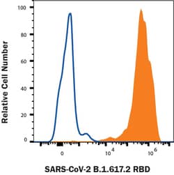 R D Systems Recombinant SARS-CoV2 B.1.617.2 RBD Alexa Fluor 647 Protein 20 &mu;g | Buy Online | R&amp;D Systems&trade; | Fisher Scientific