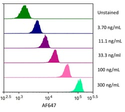 R D Systems Recombinant Human ErbB2/Her2 Fc His Alexa Fluor 647 Protein 20 &mu;g | Buy Online | R&amp;D Systems&trade; | Fisher Scientific