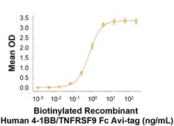 R D Systems Recombinant Human 4-1BB/TNFRSF9 Fc Avi-tag Protein 50 &mu;g | Buy Online | R&amp;D Systems&trade; | Fisher Scientific