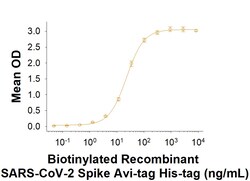 R D Systems Recombinant SARS-CoV-2 Spike (GCN4-IZ) Avi-tag Protein 50 &mu;g | Buy Online | R&amp;D Systems&trade; | Fisher Scientific