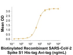R D Systems Recombinant SARS-CoV-2 Spike S1 Subunit His Avi Protein 50 &mu;g | Buy Online | R&amp;D Systems&trade; | Fisher Scientific