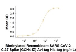 R D Systems Recombinant SARS-CoV-2 C.37 S (GCN4-IZ) Avi His Protein 50 &mu;g | Buy Online | R&amp;D Systems&trade; | Fisher Scientific