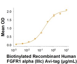R D Systems Recombinant Human FGFR1 alpha (IIIc) Fc Avi-tag Protein 50 &mu;g | Buy Online | R&amp;D Systems&trade; | Fisher Scientific