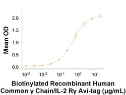 R D Systems Recombinant Human Common gamma Chain Fc Avi Protein 50 &mu;g | Buy Online | R&amp;D Systems&trade; | Fisher Scientific