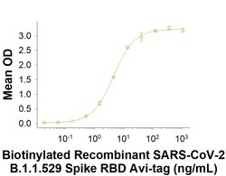 R D Systems Recombinant SARS-CoV-2 B.1.1.529 S RBD His Avi Protein 50 &mu;g | Buy Online | R&amp;D Systems&trade; | Fisher Scientific
