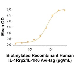 R&D Systems&trade;&nbsp;Recombinant Human IL-1Rrp2/IL-1R6 Fc Avi-tag Protein