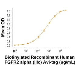 R&D Systems&trade;&nbsp;Recombinant Human FGFR2 alpha (IIIc) His Avi-tag Protein