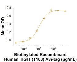 R&D Systems&trade;&nbsp;Recombinant Human TIGIT (T103) His-tag Avi-tag Protein