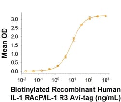 R&D Systems&trade;&nbsp;Recombinant Human IL-1 RAcP/IL-1 R3 Fc Avi-tag Protein