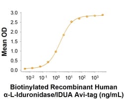 R&D Systems&trade;&nbsp;Recombinant Human alpha-L-Iduronidase/IDUA Avi Protein, CF