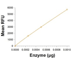 R D Systems Recombinant Human alpha-L-Iduronidase/IDUA Avi Protein, CF 10 &mu;g | Buy Online | R&amp;D Systems&trade; | Fisher Scientific