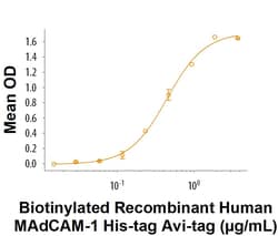 R&D Systems&trade;&nbsp;Recombinant Human MAdCAM-1 His-tag Avi-tag Protein