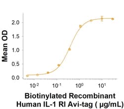 R D Systems Recombinant Human IL-1 RI Avi-tag His-tag Protein 50 &mu;g | Buy Online | R&amp;D Systems&trade; | Fisher Scientific
