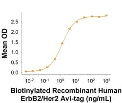 R&D Systems&trade;&nbsp;Recombinant Human ErbB2/Her2 Avi-tag His-tag Protein