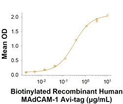 R&D Systems&trade;&nbsp;Recombinant Human MAdCAM-1 Fc Chimera Avi-tag Protein