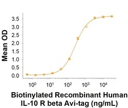 R D Systems Recombinant Human IL-10 R beta Fc Chimera Avi Protein, CF 50 &mu;g | Buy Online | R&amp;D Systems&trade; | Fisher Scientific