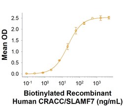 R&DSystems&trade;&nbsp;Recombinant Human CRACC/SLAMF7 His-tag Avi-tag Protein, CF