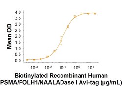 R&DSystems™ Recombinant Human PSMA/FOLH1/NAALADase I Avi Fc Protein, CF