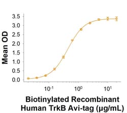 R&D Systems&trade;&nbsp;Recombinant Human TrkB His-tag Avi-tag Protein, CF
