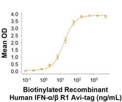 R&D Systems&trade;&nbsp;Recombinant Human IFN-alpha/beta R1 Fc Avi-tag Protein, CF