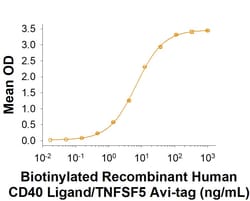 R&D Systems™ Recombinant Human CD40 Ligand/TNFSF5 Avi-tag His-tag, CF