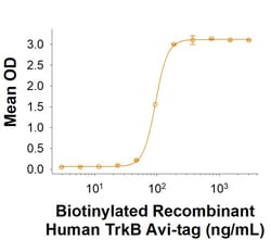 R&D Systems&trade;&nbsp;Recombinant Human TrkB Fc Chimera Avi-tag Protein, CF