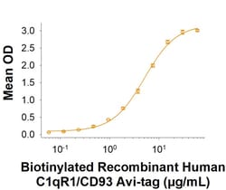 R D Systems Recombinant Human C1qR1/CD93 (24-580) His Avi Protein, CF 50 &mu;g | Buy Online | R&amp;D Systems&trade; | Fisher Scientific