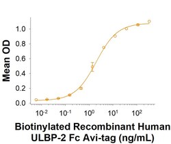 R&D Systems&trade;&nbsp;Recombinant Human ULBP-2 Fc Chimera Avi-tag Protein