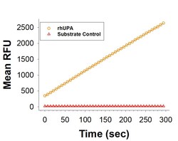 R D Systems Recombinant Human u-Plasminogen Activator/Urokinase Avi, CF 20 &mu;g | Buy Online | R&amp;D Systems&trade; | Fisher Scientific