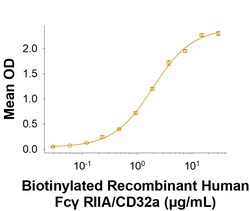 R D Systems Recombinant Human Fc gamma RIIA/CD32a Avi His Protein 50 &mu;g | Buy Online | R&amp;D Systems&trade; | Fisher Scientific