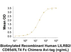 R&D Systems&trade;&nbsp;Recombinant Human LILRB2/CD85d/ILT4 Fc Avi-tag Protein